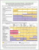 2010 laminated adult immunization schedule