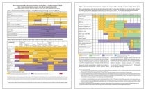 Toddler Vaccine Chart