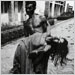 A frightened farmer carries his wife, stricken with tetanus, to the People's Health Centre in Savar, Bangladesh
